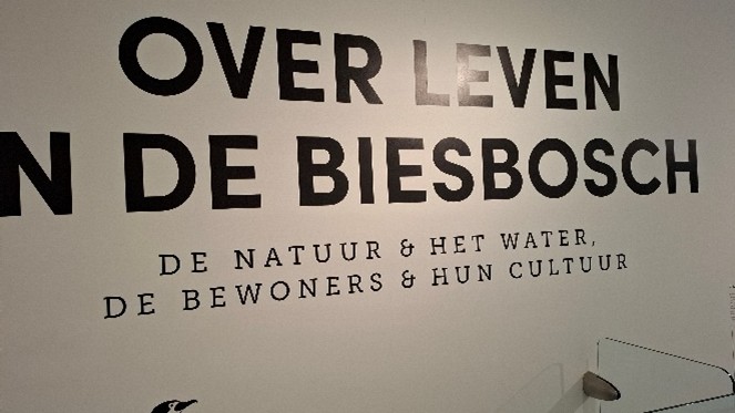 Afbeelding2
